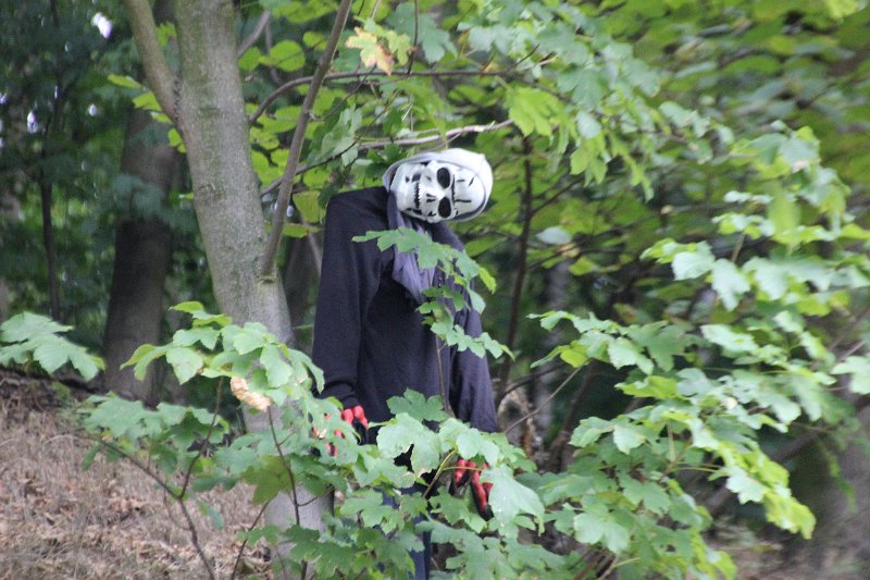 Goethewanderung VI. Loket 2015 030.JPG